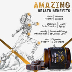 Shilajit from Himalayan origin used in NutroTonic gummies