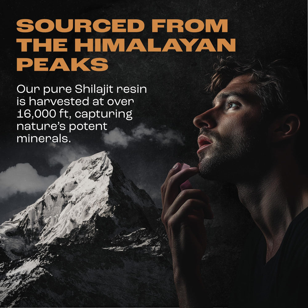 Pure Himalayan Shilajit origin illustration