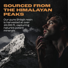 Pure Himalayan Shilajit origin illustration