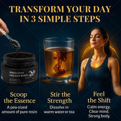 Product packaging and branding for Himalayas Shilajit Resin