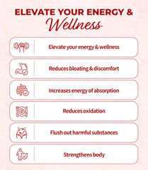 Low-sugar digestive enzyme supplement for nutrient absorption