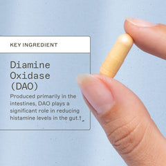 Graphic illustrating histamine digestion support