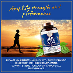 Illustration of muscle growth and performance benefits from HMB and D3