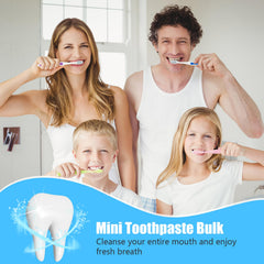 Hotel and hospitality use: toothpaste in bulk for guest rooms