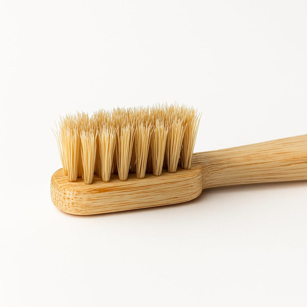 Biodegradable materials used in Holidentix toothbrush