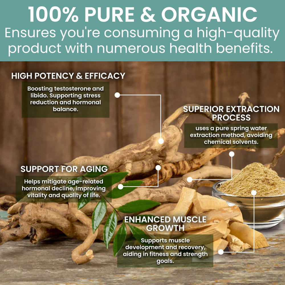 Holistic Bin Tongkat Ali powder dissolving in water for quick mix