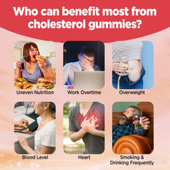 Mixed berry flavored HOLLEGEND 12-In-1 gummies