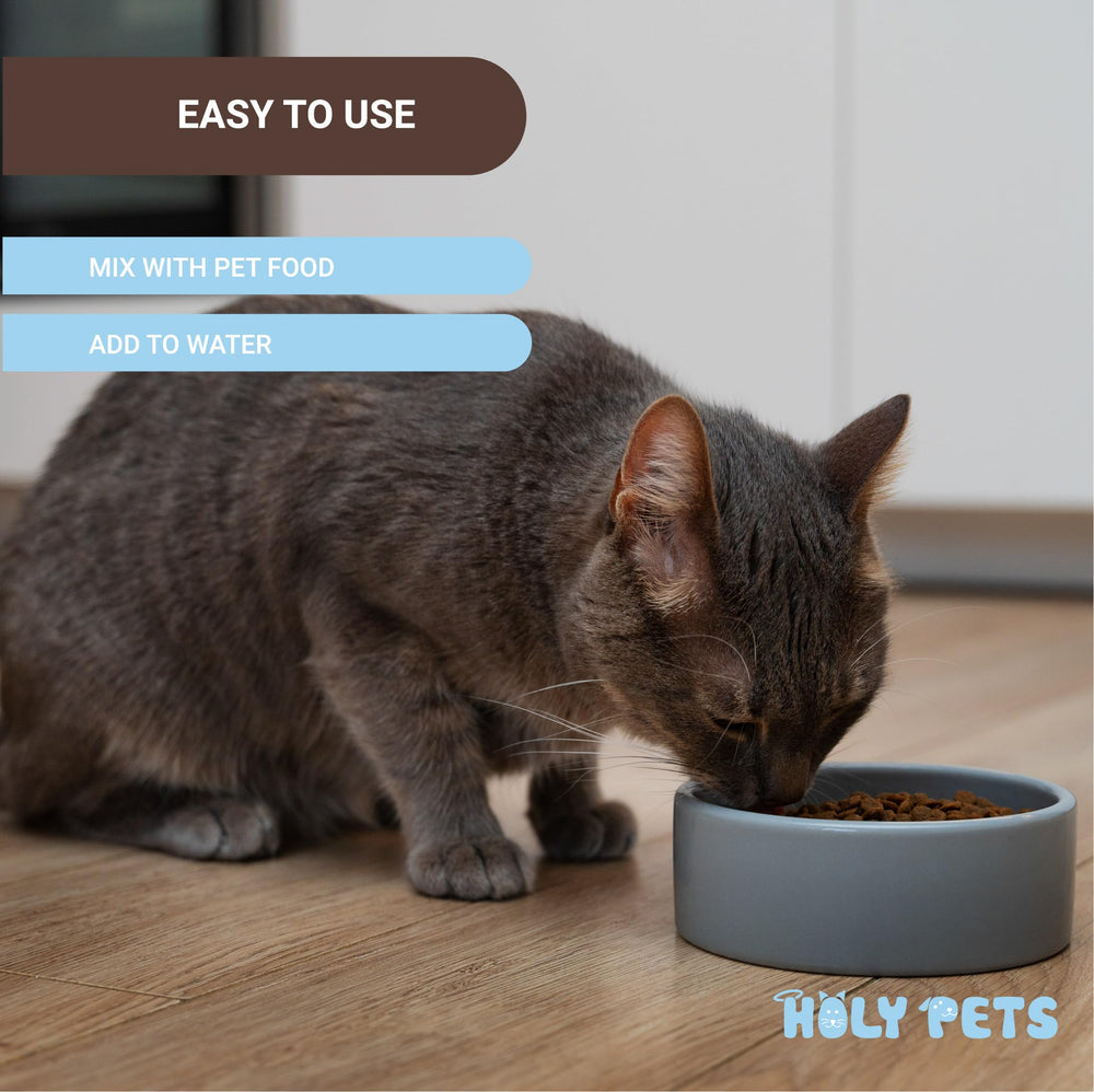 Close-up of Holy Pets L-Lysine powder container