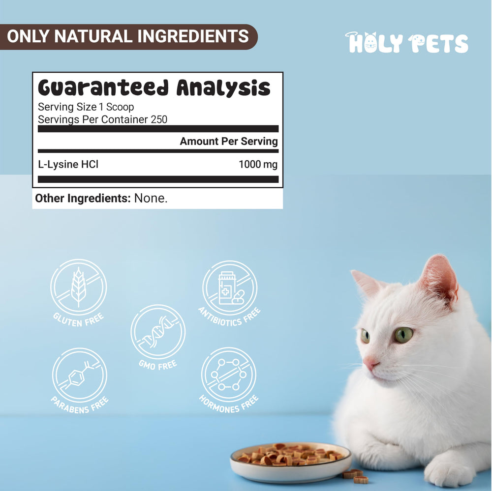 L-Lysine powder suitable for kittens to senior cats