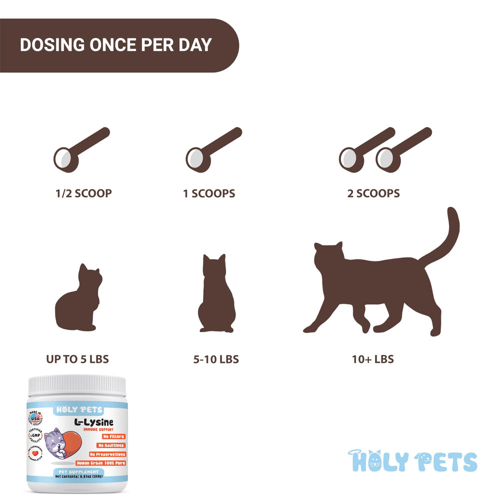 Multi-cat household using Holy Pets L-Lysine powder