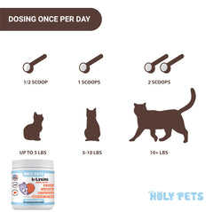 Multi-cat household using Holy Pets L-Lysine powder