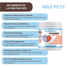 Scoop of Holy Pets L-Lysine powder showing 1,000mg measure