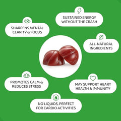 HOLYMARY Yerba Mate Gummies bottle showing vegan, non-GMO, gluten-free daily supplement