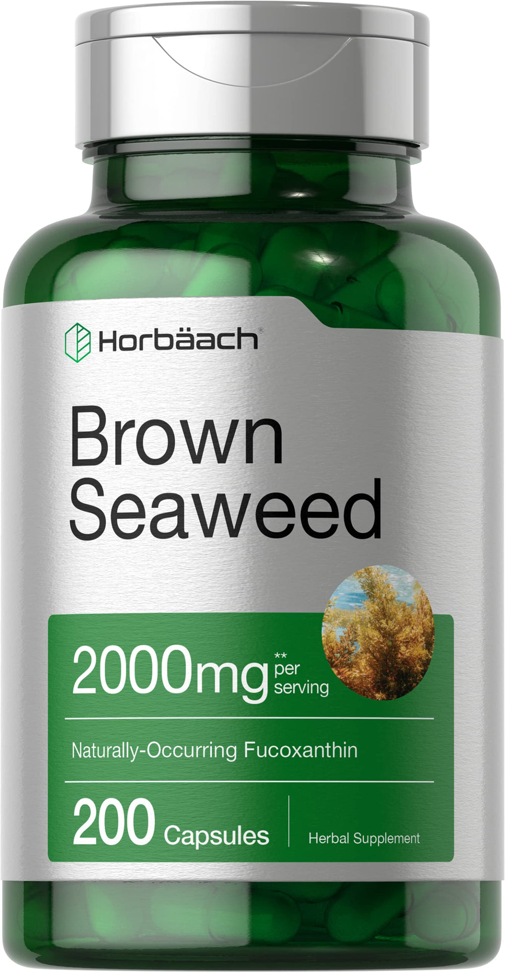 Front of Horbäach Brown Seaweed Extract Capsules bottle