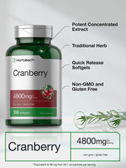 Supplement facts panel on Horbäach Cranberry Pills bottle