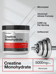 Close-up of micronized creatine powder in scoop