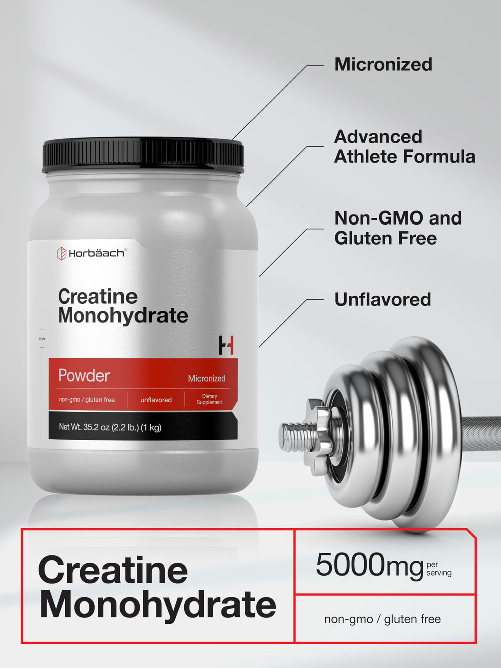 Micronized creatine monohydrate powder texture close-up