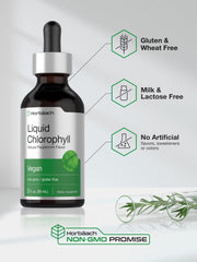 Laboratory tested ingredients for Horbäach Chlorophyll Drops