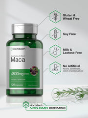 Close-up of Quick-Release capsules delivering 4800 mg Maca per serving