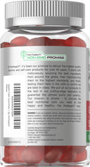 Horbaach Organic ACV Gummies packshot showing 60-count bottle.