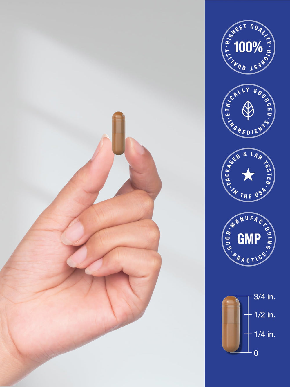 Product shot of Horbäach PQQ supplement on countertop