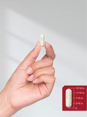 Horbäach laboratory testing image representing quality control and batch testing assurance