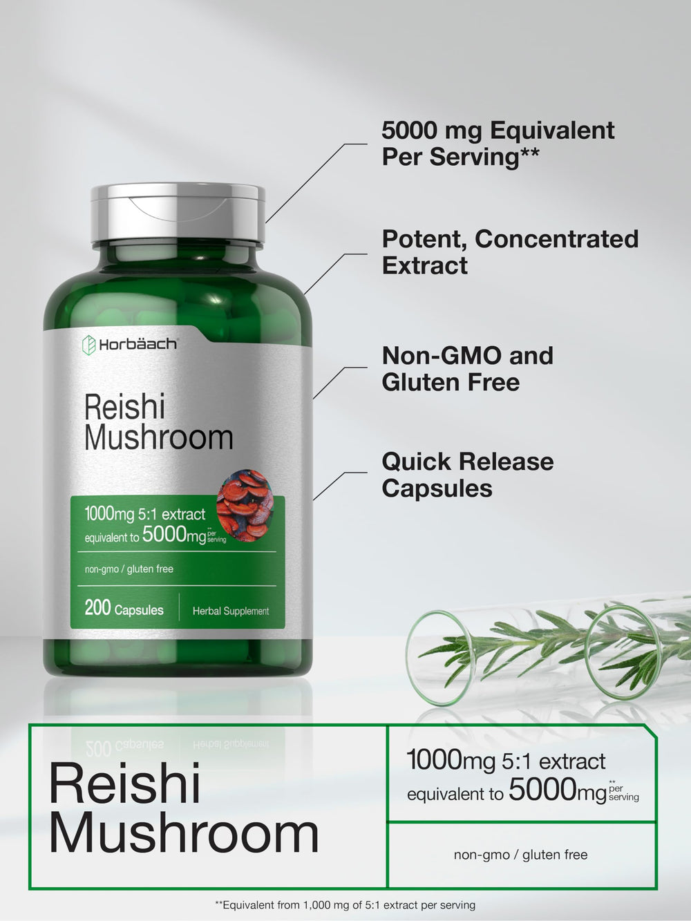 Graphic of Horbaach Reishi supplement facts