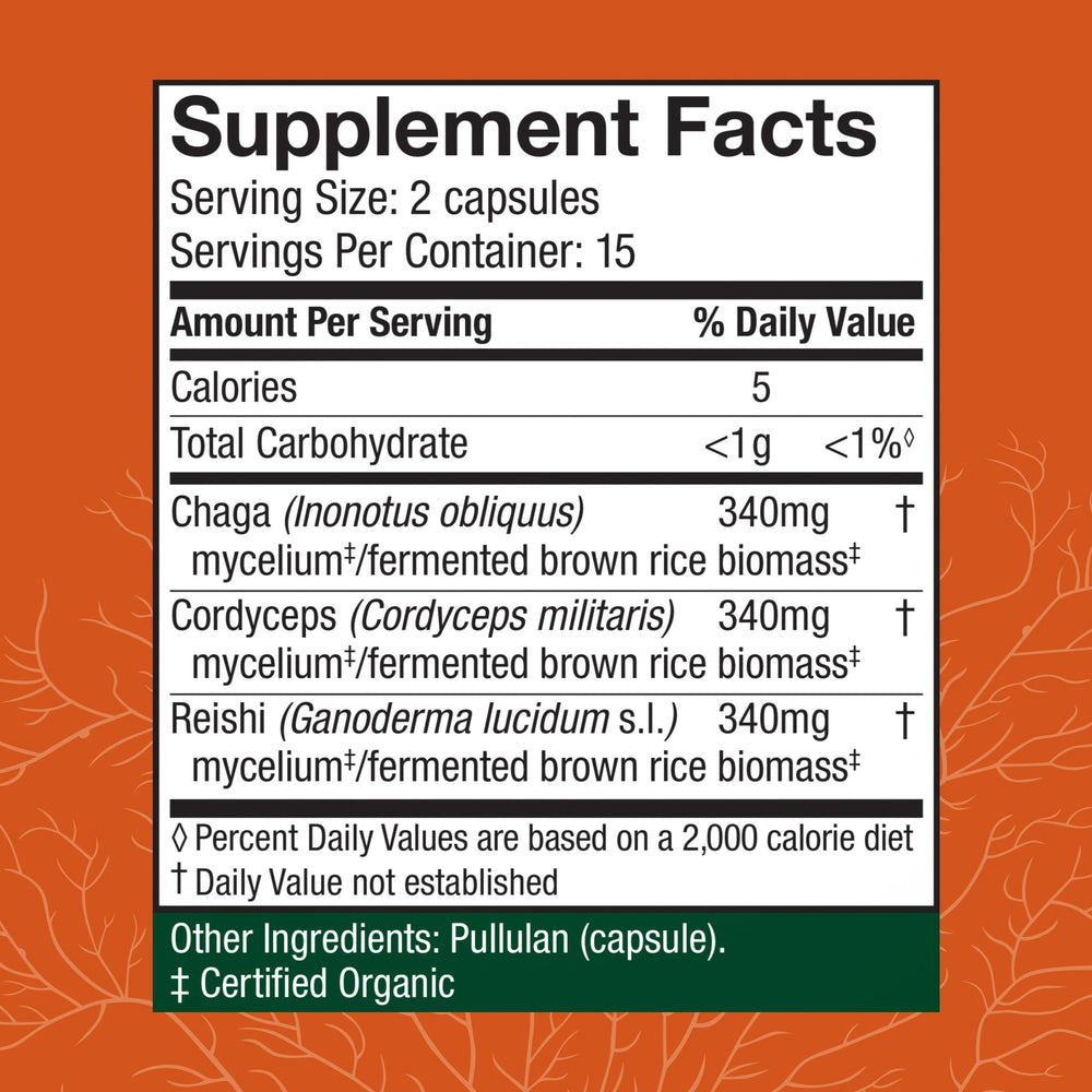 Cordyceps, Reishi, and Chaga mushrooms close-up