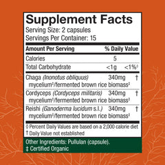 Cordyceps, Reishi, and Chaga mushrooms close-up