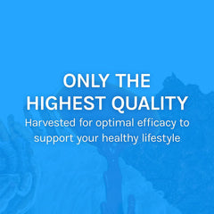 Lifestyle shot of the Breathe Extract bottle with dropper