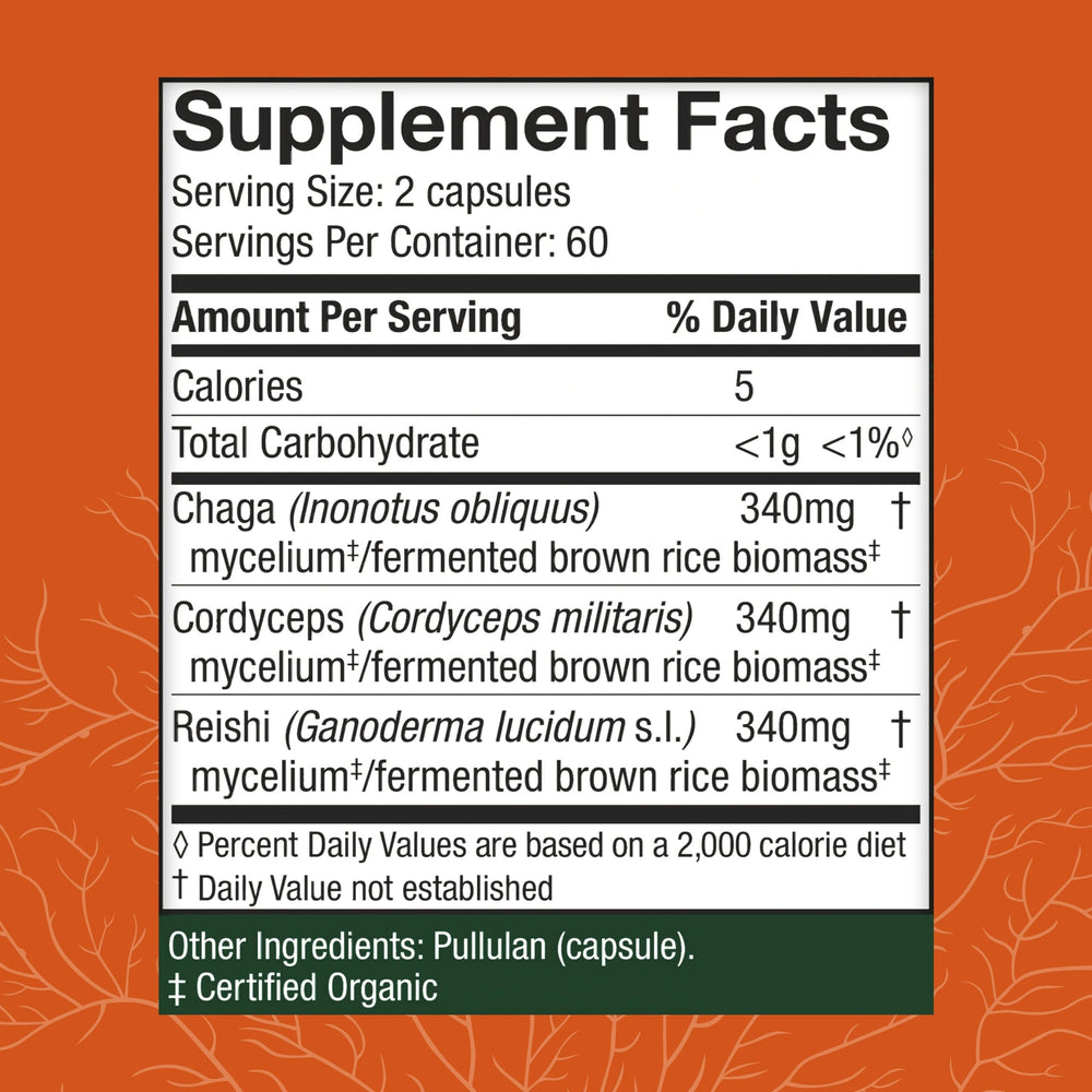 Chaga, Reishi, and Cordyceps mushrooms used in the supplement