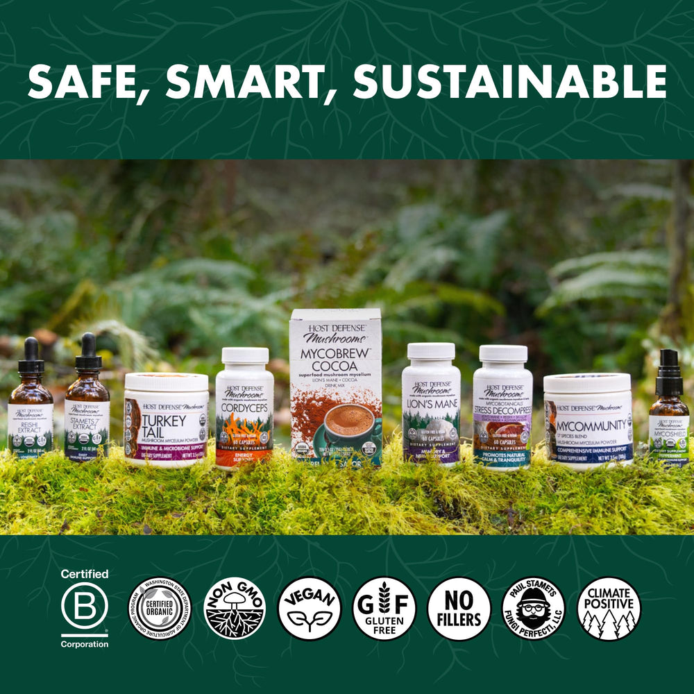 Infographic showing ingredients of Host Defense Chaga Extract