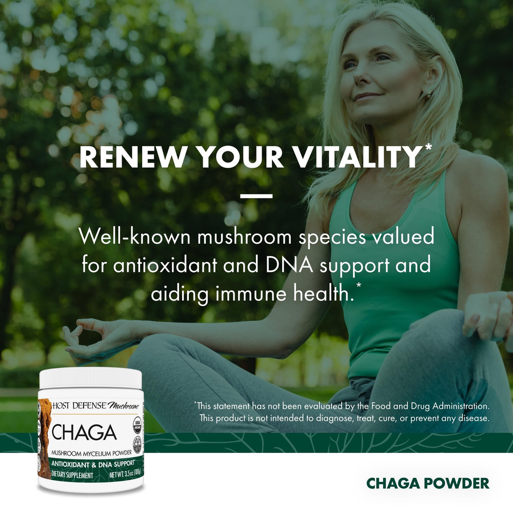 Serving suggestion with spoon of Chaga powder