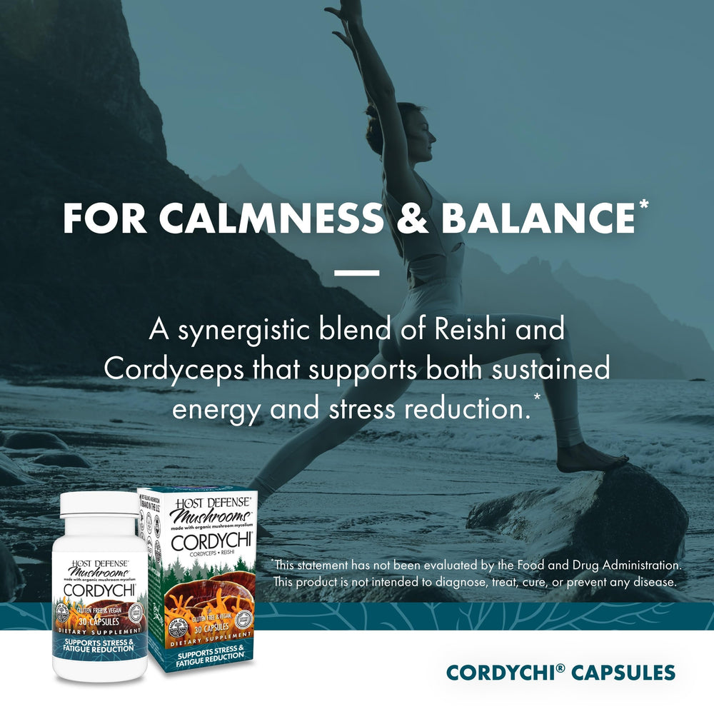 Cordyceps and Reishi mushroom ingredients for CordyChi