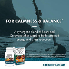 Cordyceps and Reishi mushroom ingredients for CordyChi