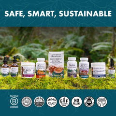 Graphic showing energy and immune support benefits