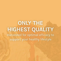Made in the USA label on Host Defense Mesima Capsules