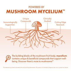 Organic mushroom mycelium grown on brown rice substrate