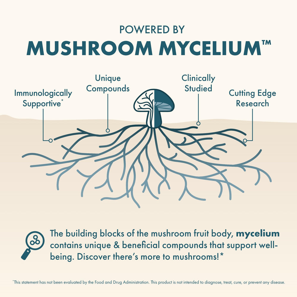 Blend of Reishi, Lion’s Mane, and Holy Basil mushrooms