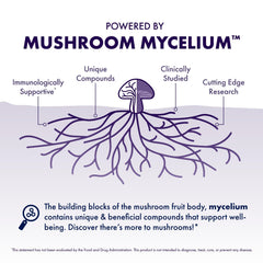 Cordyceps and Reishi mushrooms for cognitive support