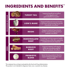 Reishi mushroom highlighting immune support
