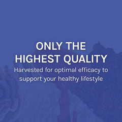 Grown in USA organic mushroom mycelium