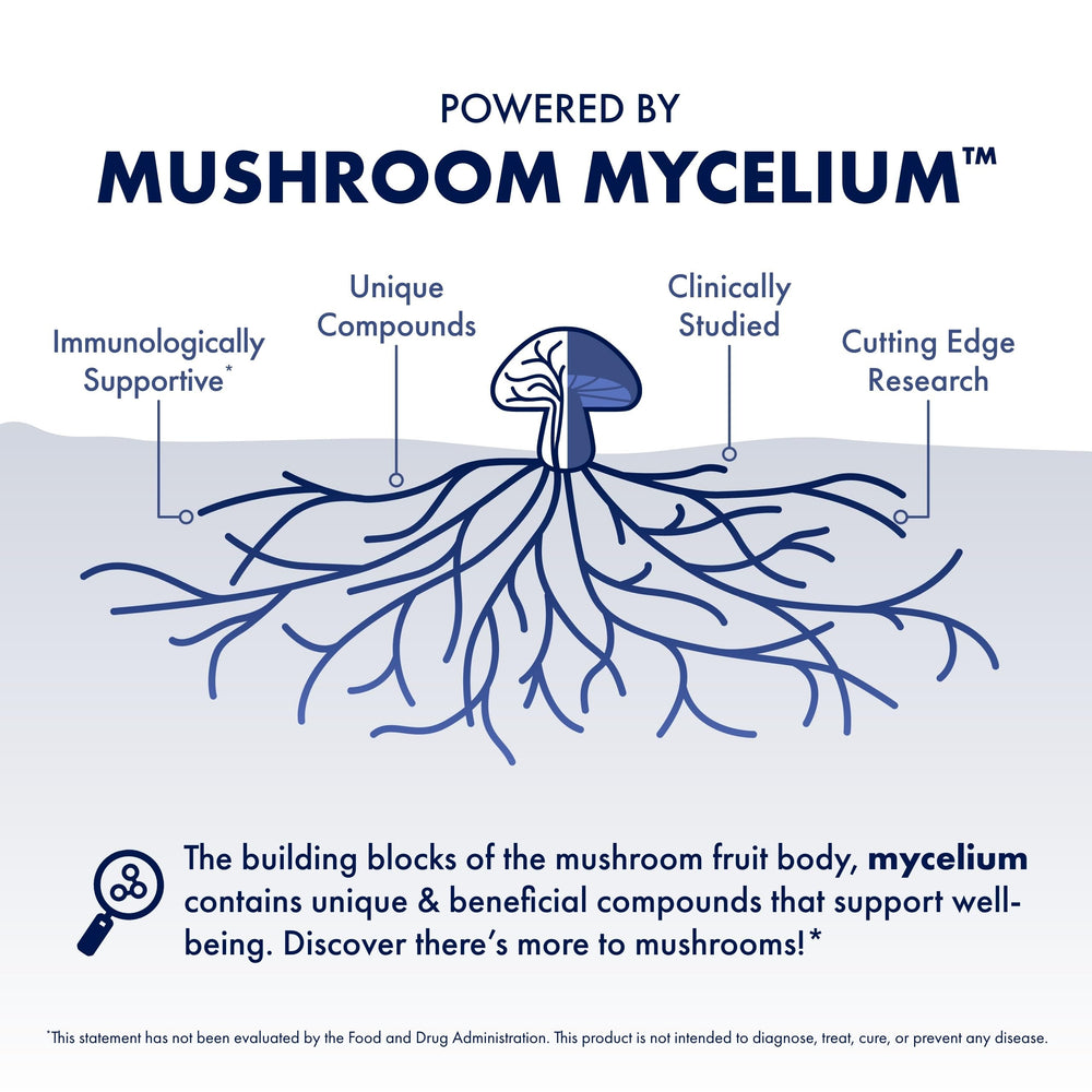 Illustration of the 7 mushroom species included in Stamets 7 Extract