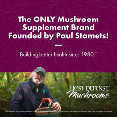 Mushroom mycelium on organic brown rice substrate