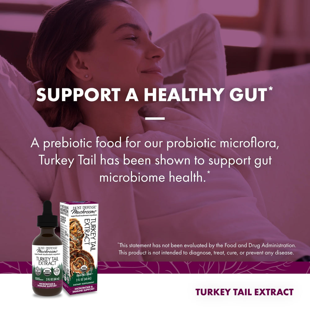 Prebiotics-enriched Turkey Tail extract concept illustration