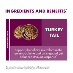USA-grown, organic turkey tail mushroom powder product