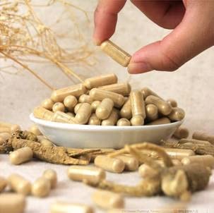 Hsu's farm Wisconsin ginseng plant