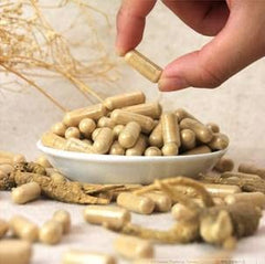 Hsu's farm Wisconsin ginseng plant