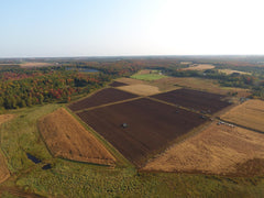 Low-temperature extraction technology concept image