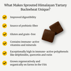 Organic sprouted Himalayan Tartary Buckwheat grains